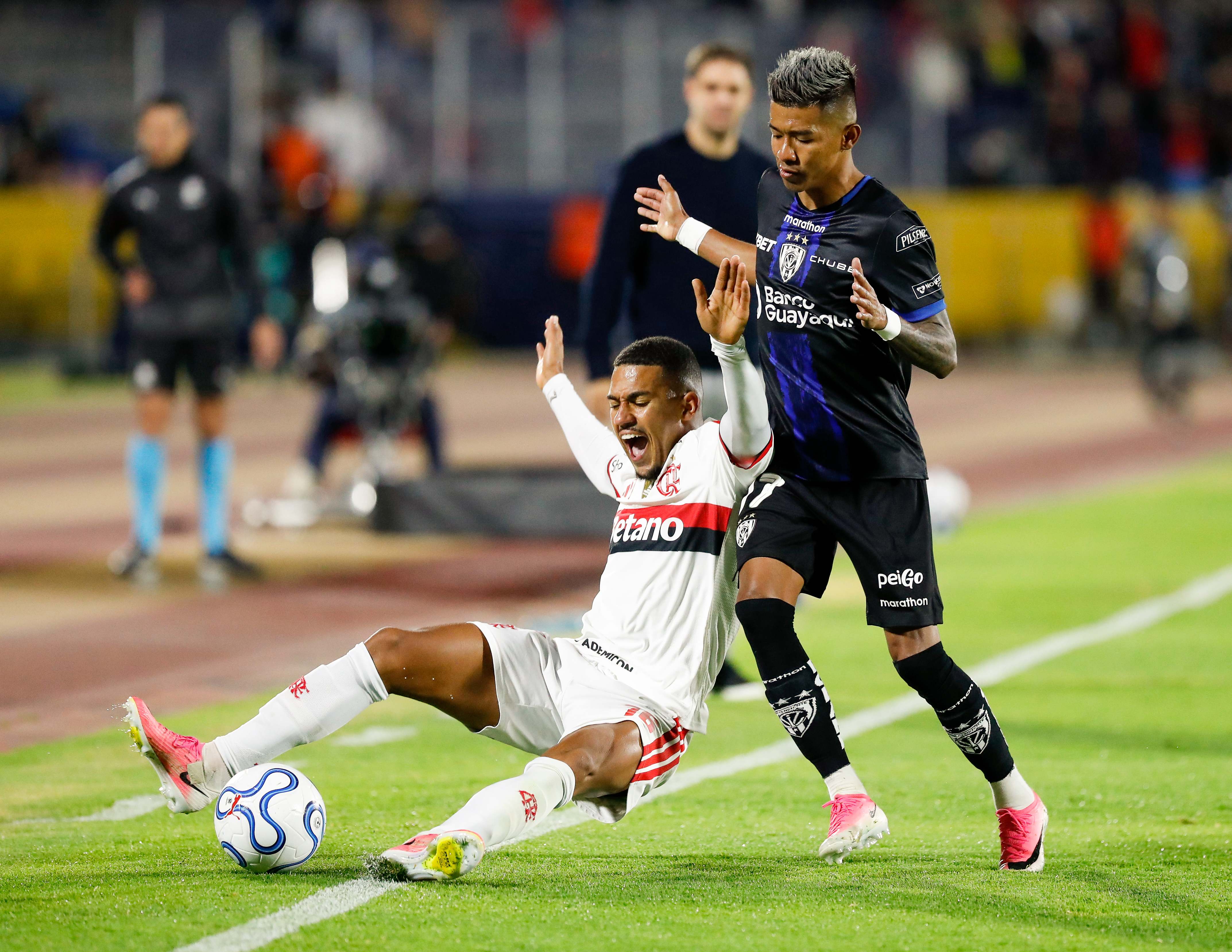 Miniatura de IDV-FLAMENGO-9576.jpg