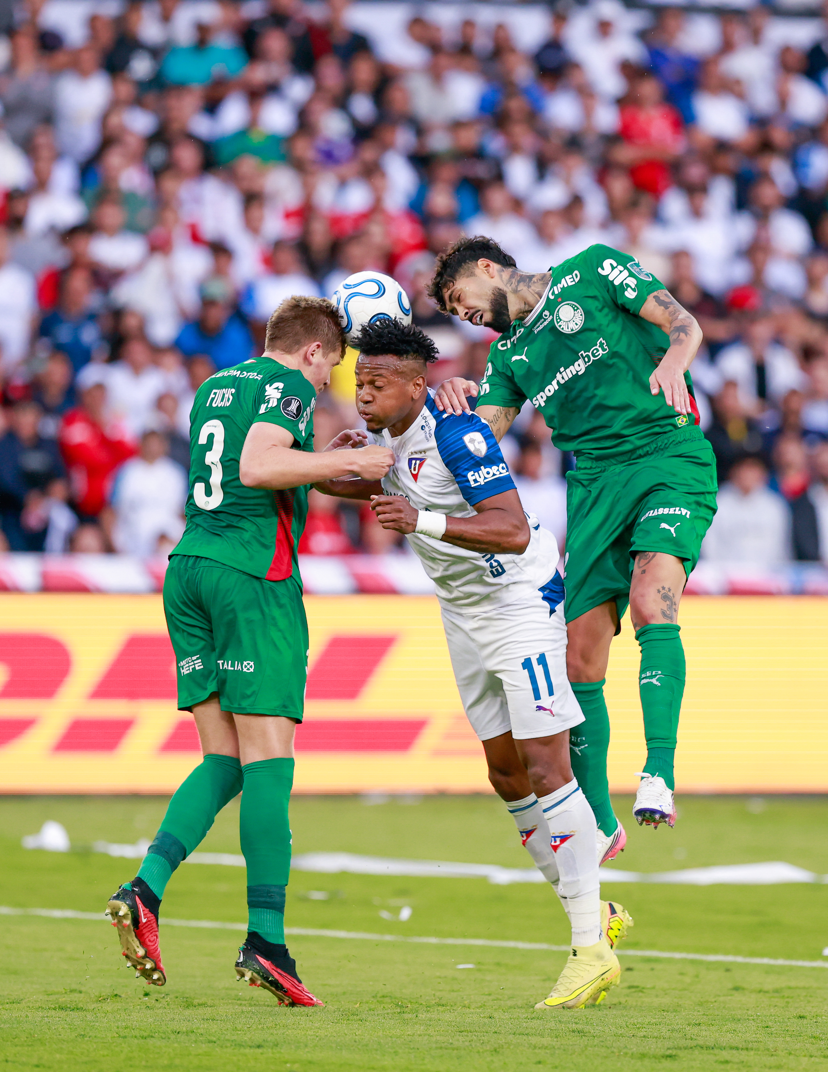 Miniatura de LDU-PALMEIRAS-1439.jpg