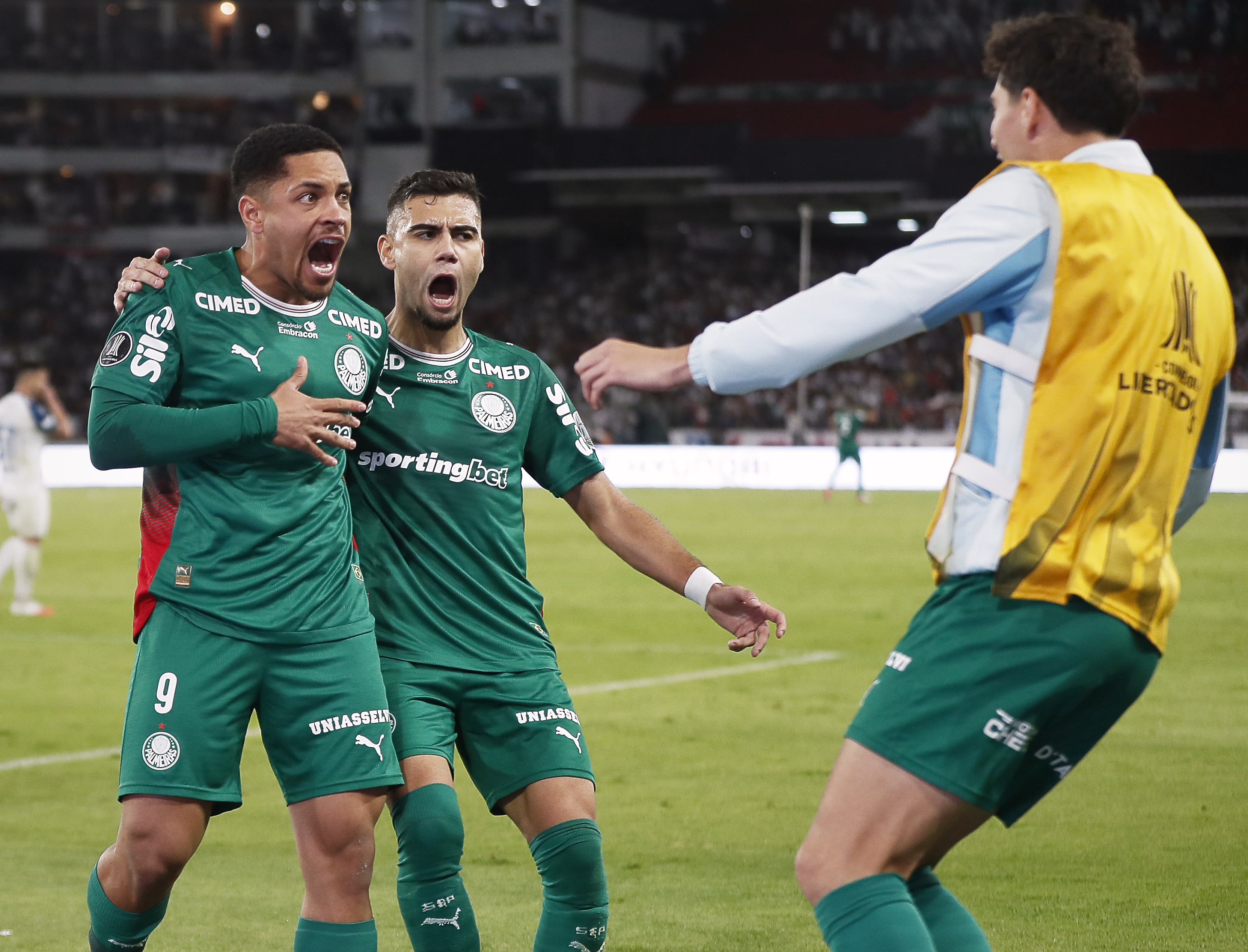 Miniatura de LDU-PALMEIRAS-9236.jpg