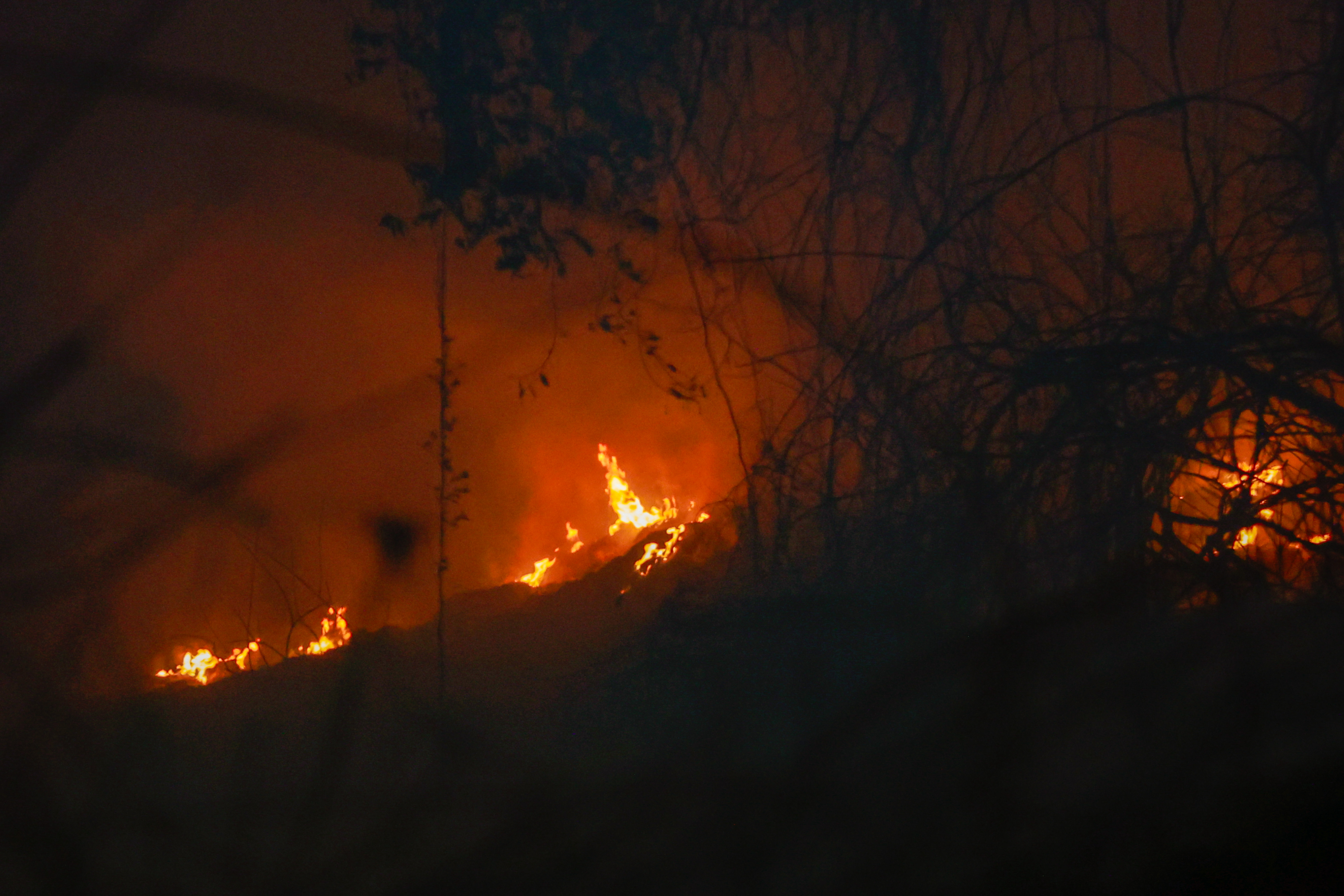 Miniatura de FIRE-9504.jpg