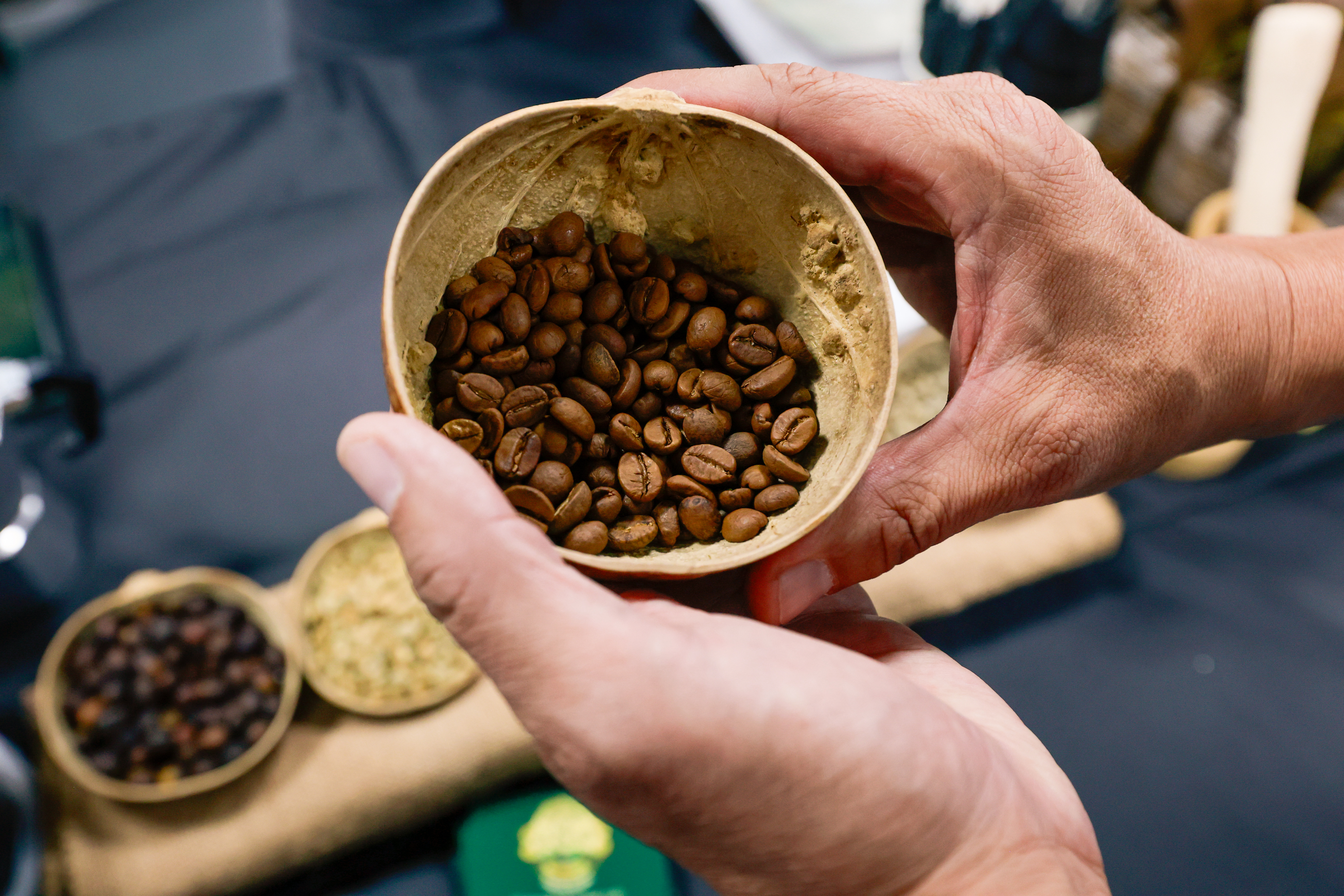 Miniatura de COFFEE-FAIR-2764.jpg