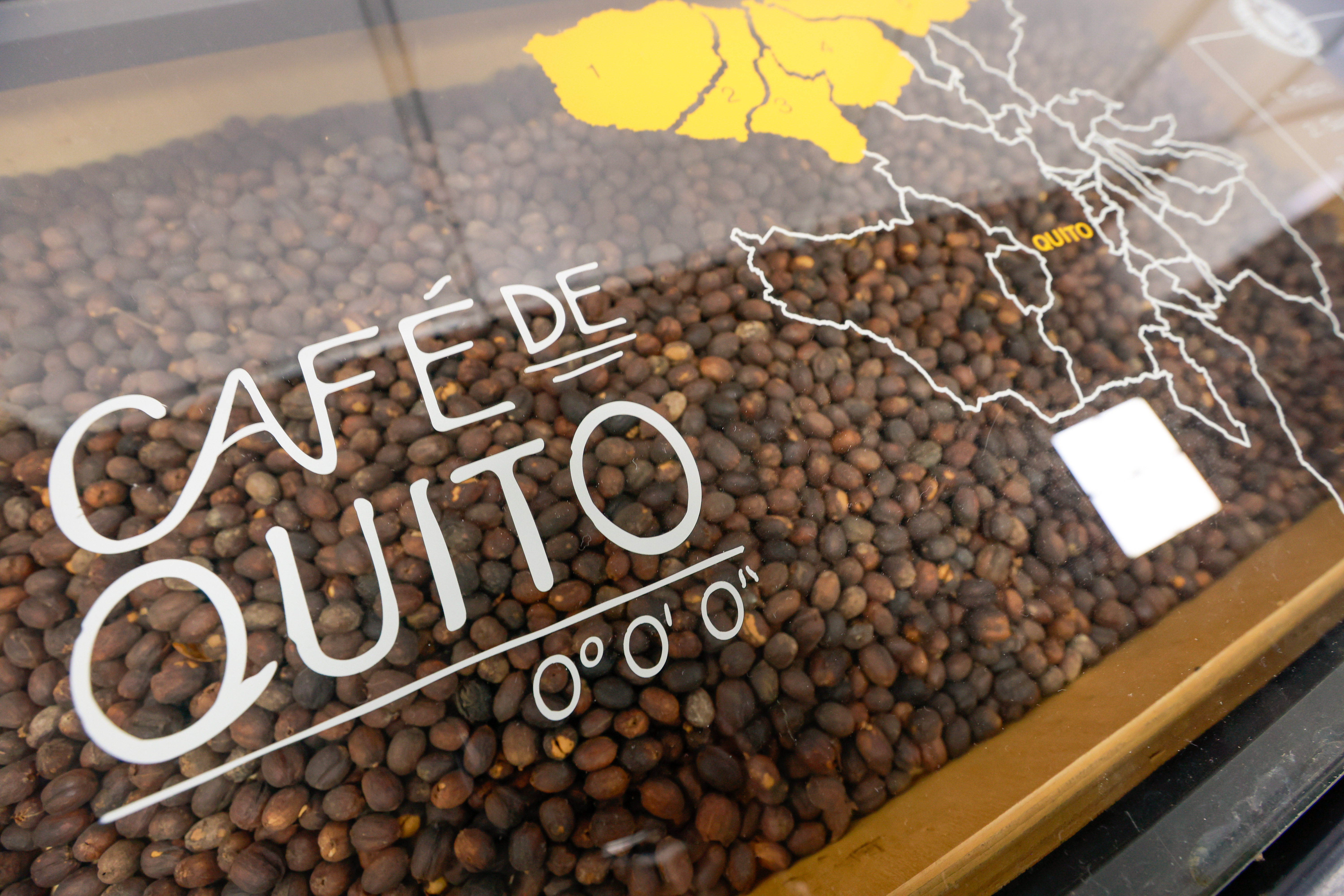 Miniatura de COFFEE-FAIR-3006.jpg